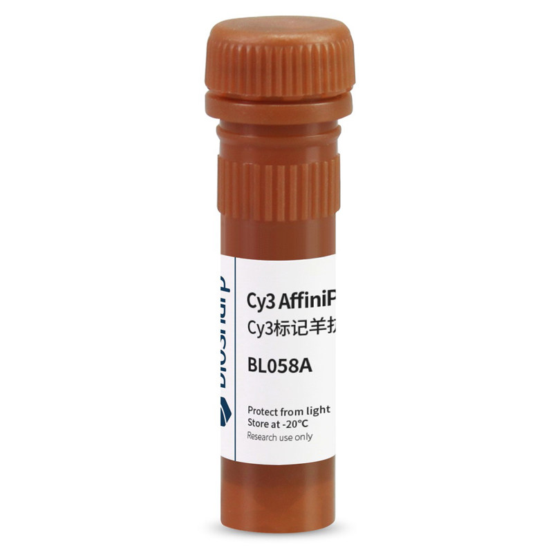 白鲨 Biosharp BL058A Cy3标记山羊抗兔IgG(H+L)
