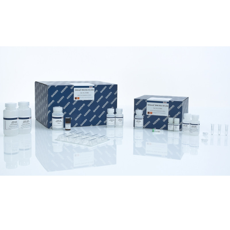 Qiagen 51304 51306  基因组DNA小提试剂盒 QIAamp DNA Mini Kit