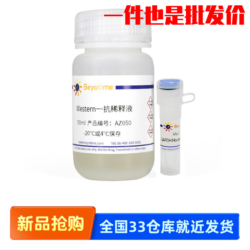 碧云天Beyotime AF2819 GAPDH Mouse Monoclonal Antibody 一抗