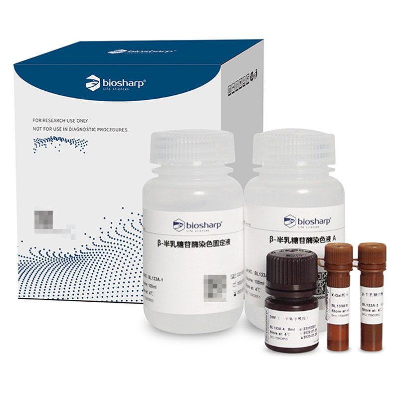 白鲨 Biosharp BL133A 细胞衰老&beta;-半乳糖苷酶染色试剂盒 100T