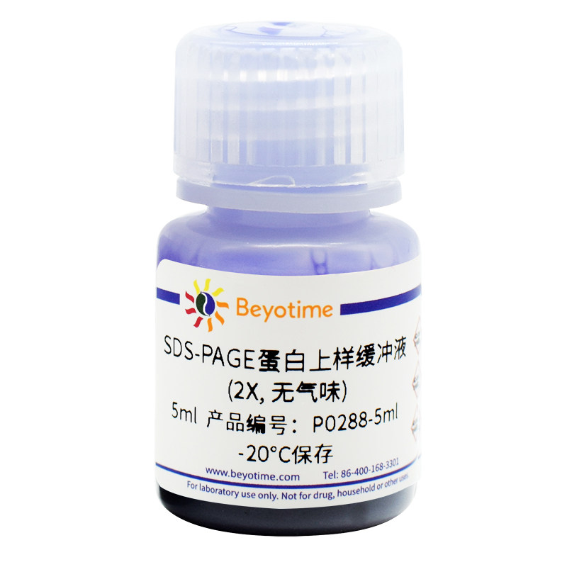 碧云天 P0288-5ml SDS-PAGE蛋白上样缓冲液(2X, 无气味)