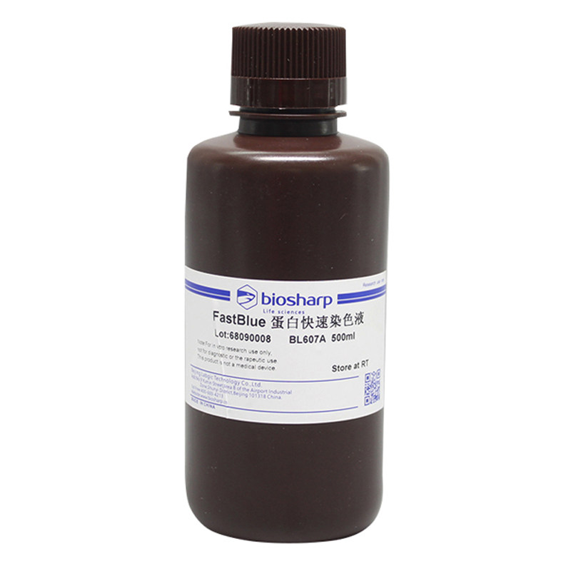 白鲨Biosharp BL607A FastBlue蛋白快速染色液  500ml
