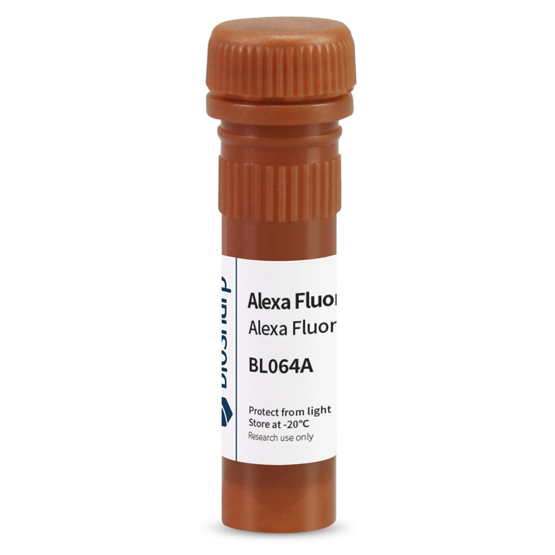 白鲨 Biosharp BL064A Alexa Fluor 594标记山羊抗兔IgG（H+L）