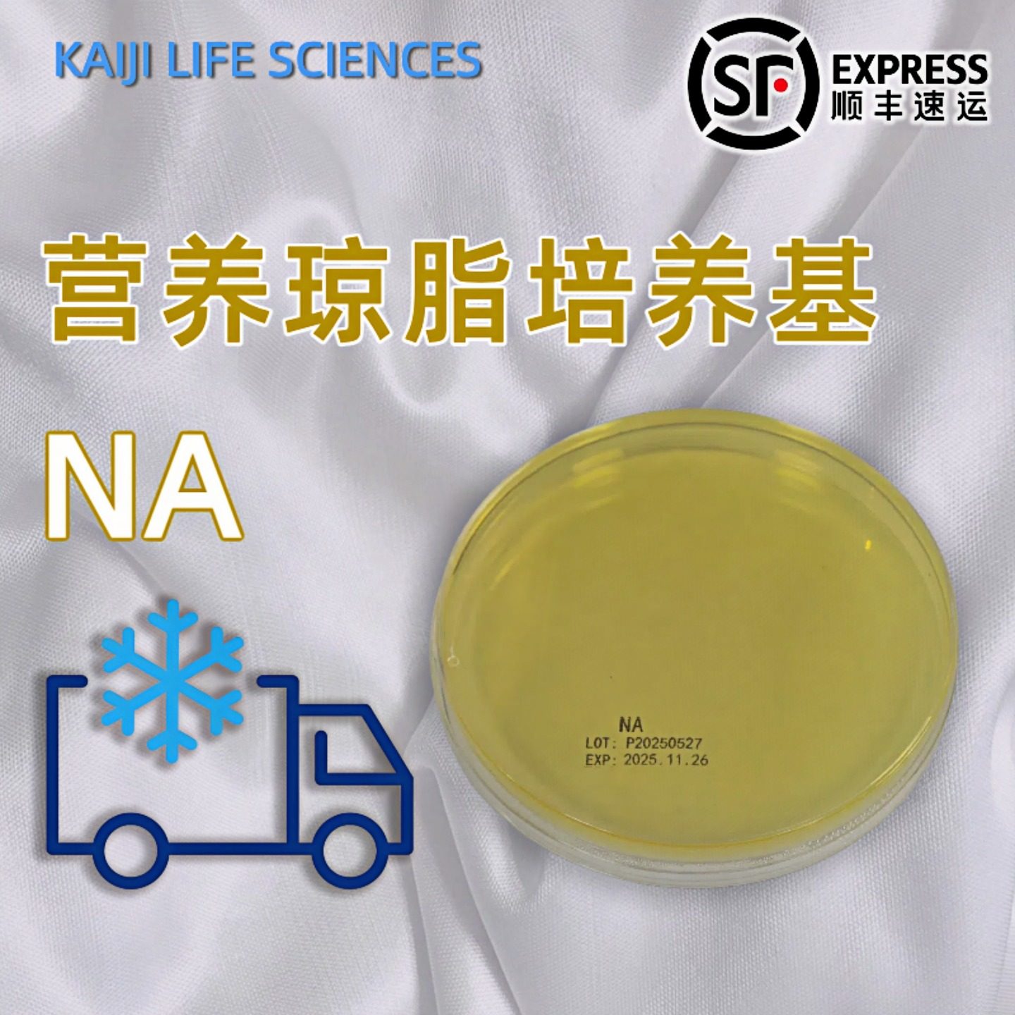 NA营养琼脂培养基平板培养皿Nutrient Agar用于细菌的分离培养