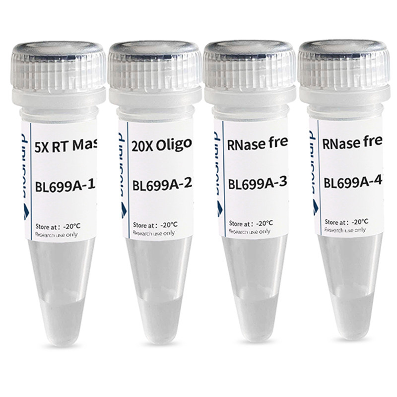 白鲨 biosharp BL699A 逆转录试剂盒(含 DNA 酶) 100T
