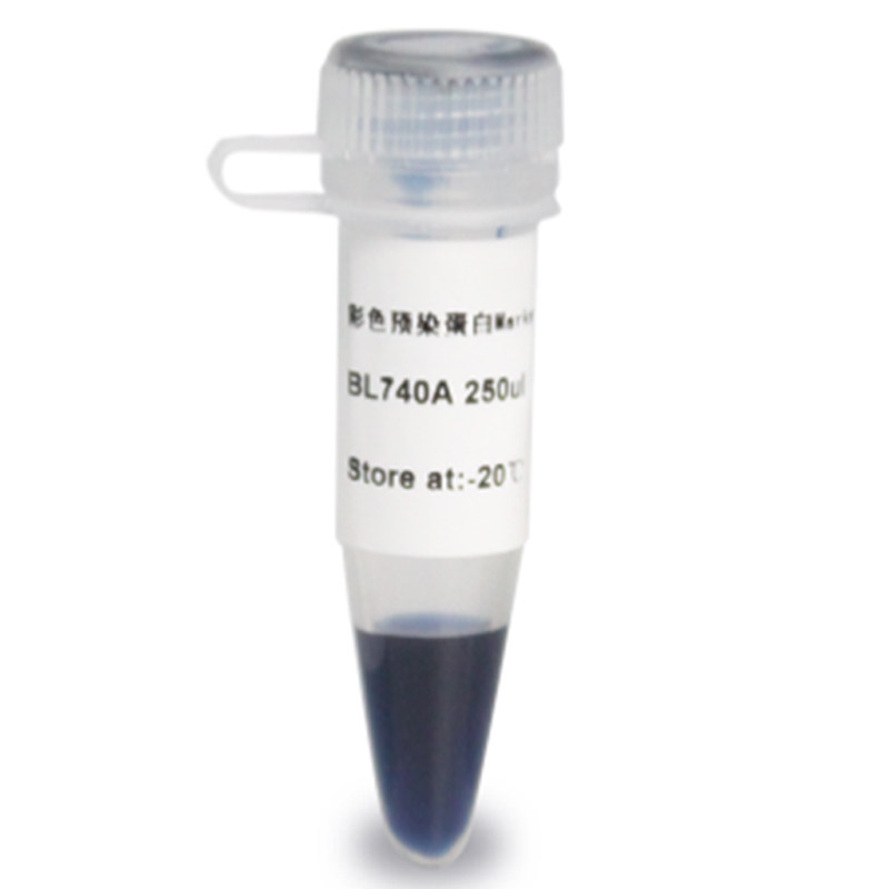 白鲨 Biosharp BL740A 彩色预染蛋白Marker（3-40kDa）250ul