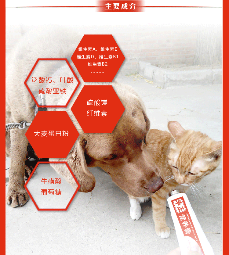 Kem dinh dưỡng trong Nonghua là một con chó con chó con mèo bổ sung các nguyên tố vi lượng vitamin taurine axit folic máu - Cat / Dog Health bổ sung sữa cho chó trưởng thành