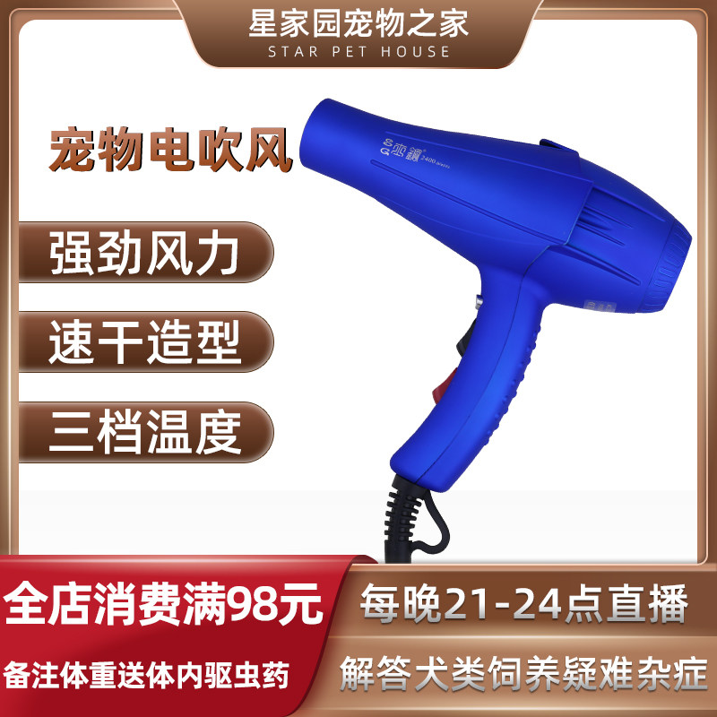 Pet New Hair Tel electric negative ion hot and cold ventilator Home Not Hurt Hair High Power Blower Blow water machine