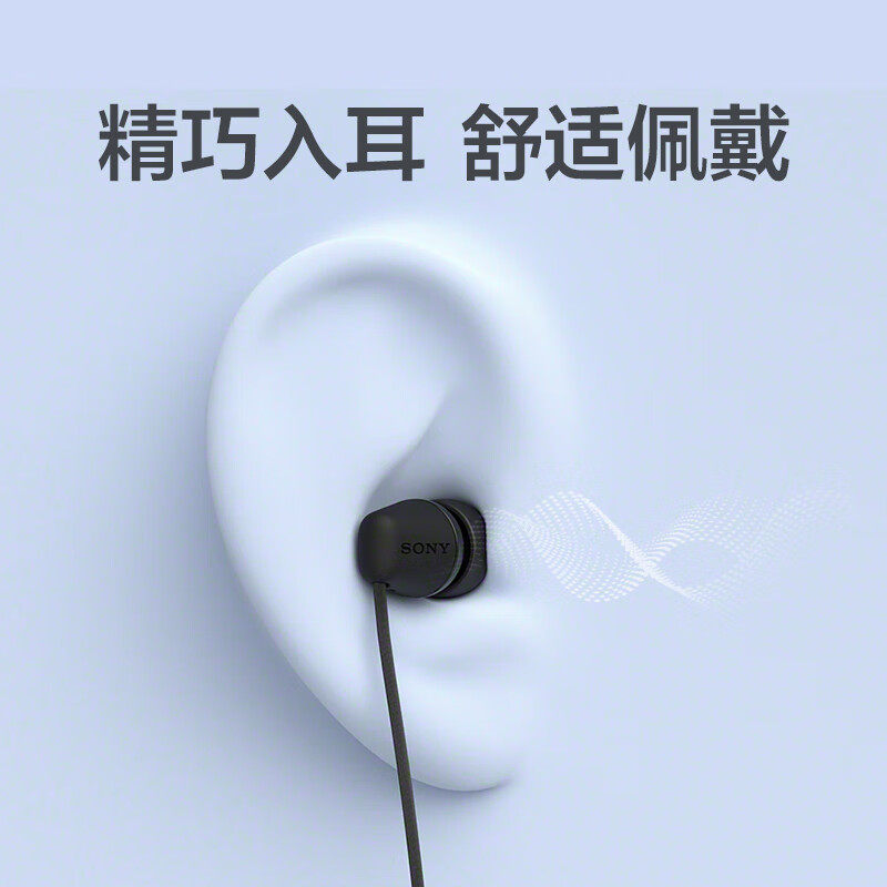 Sony Ier-Ex15C In-Ear Type-C Wired Earphones for Calls, Compatible with Huawei, Xiaomi, Apple