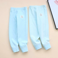 Гигиенические брюки из мягкого бархата с заплатками для щенков, 2 шт., голубые