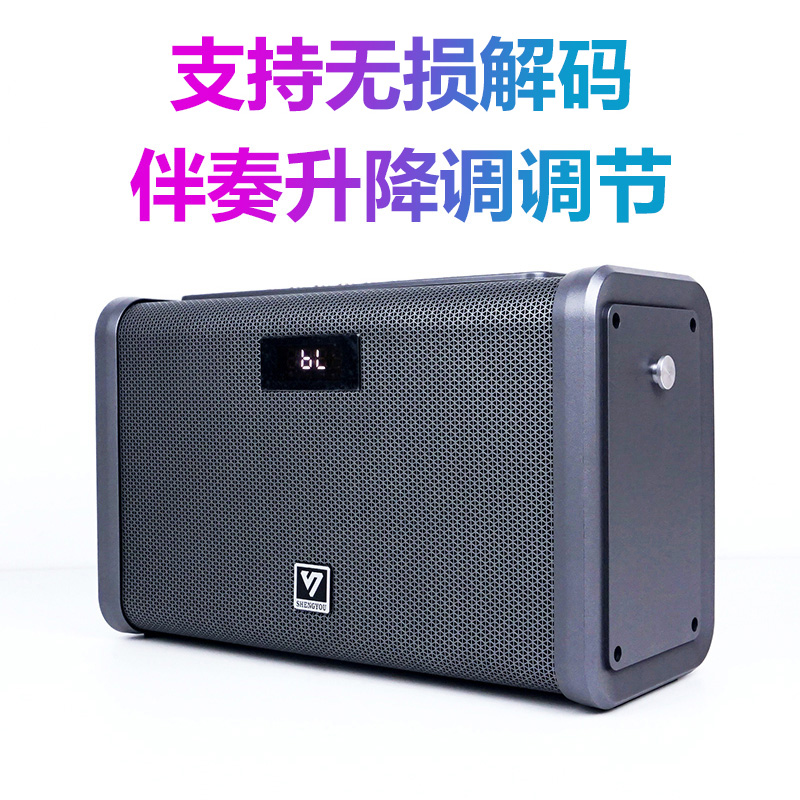 Sound Uber S3S5 sound card Inner record live heavy bass Erhu instrumental sound 100W Power singing K song speaker