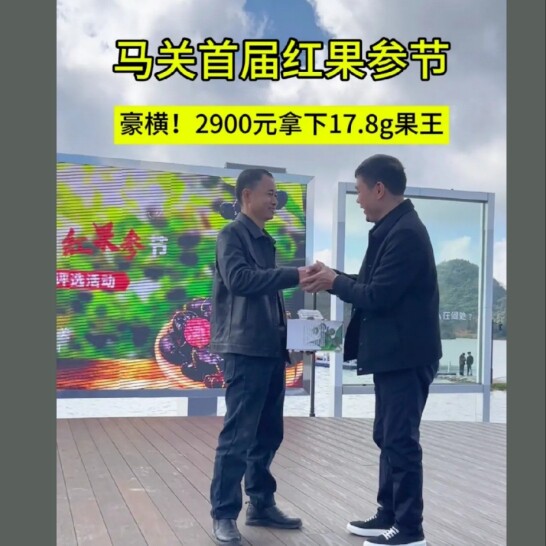 阿忠红果参种植家庭农场