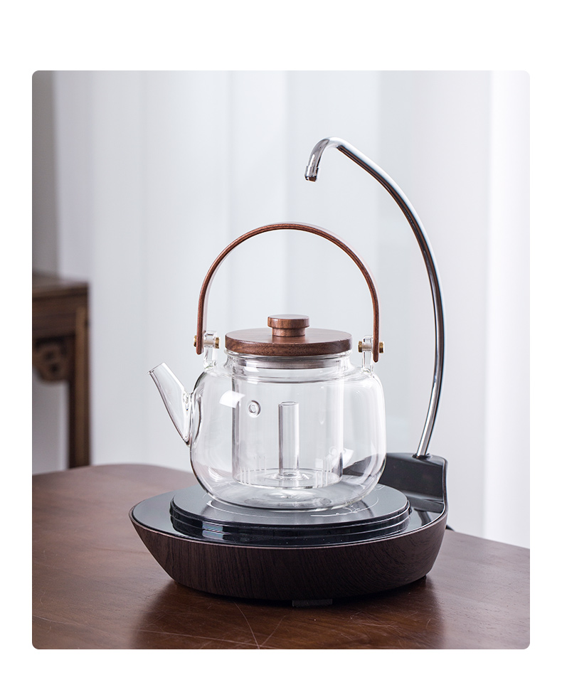 Public remit boiling tea machine electricity TaoLu single pot of glass teapot with steaming kettle high - temperature cooking amphibious