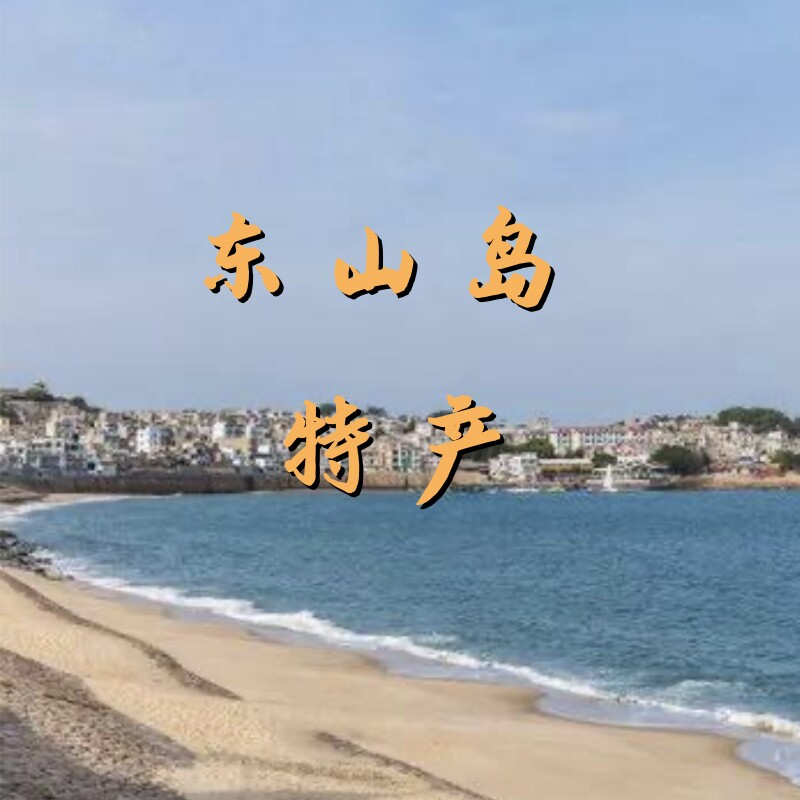 东山岛特产