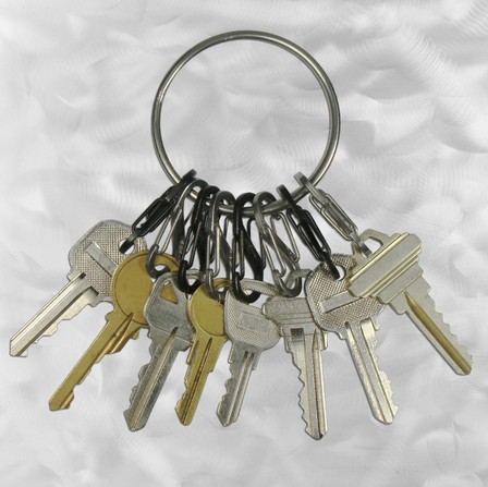 Nelove Celine Stainless Steel Key Button Multipurpose Key Ring Car Key Buckle Fit 8 Hanging Buckle