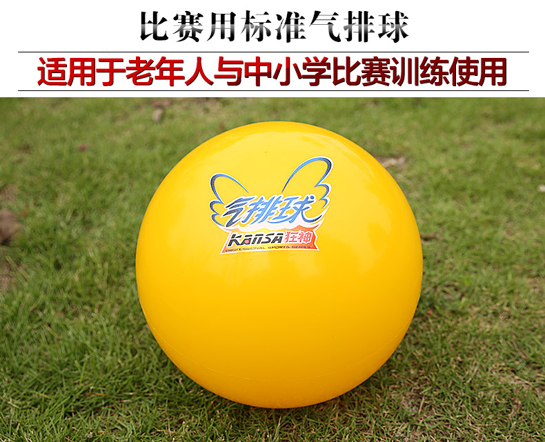 Ballon de volley - Ref 2008890 Image 6
