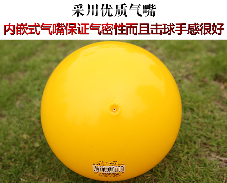 Ballon de volley - Ref 2008890 Image 10