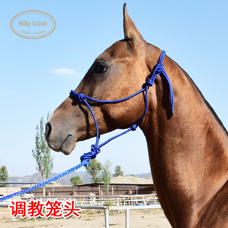 Century Gyuri billycook tuning cage head equestrian dragon head tuning training horse dragon head tuning rope