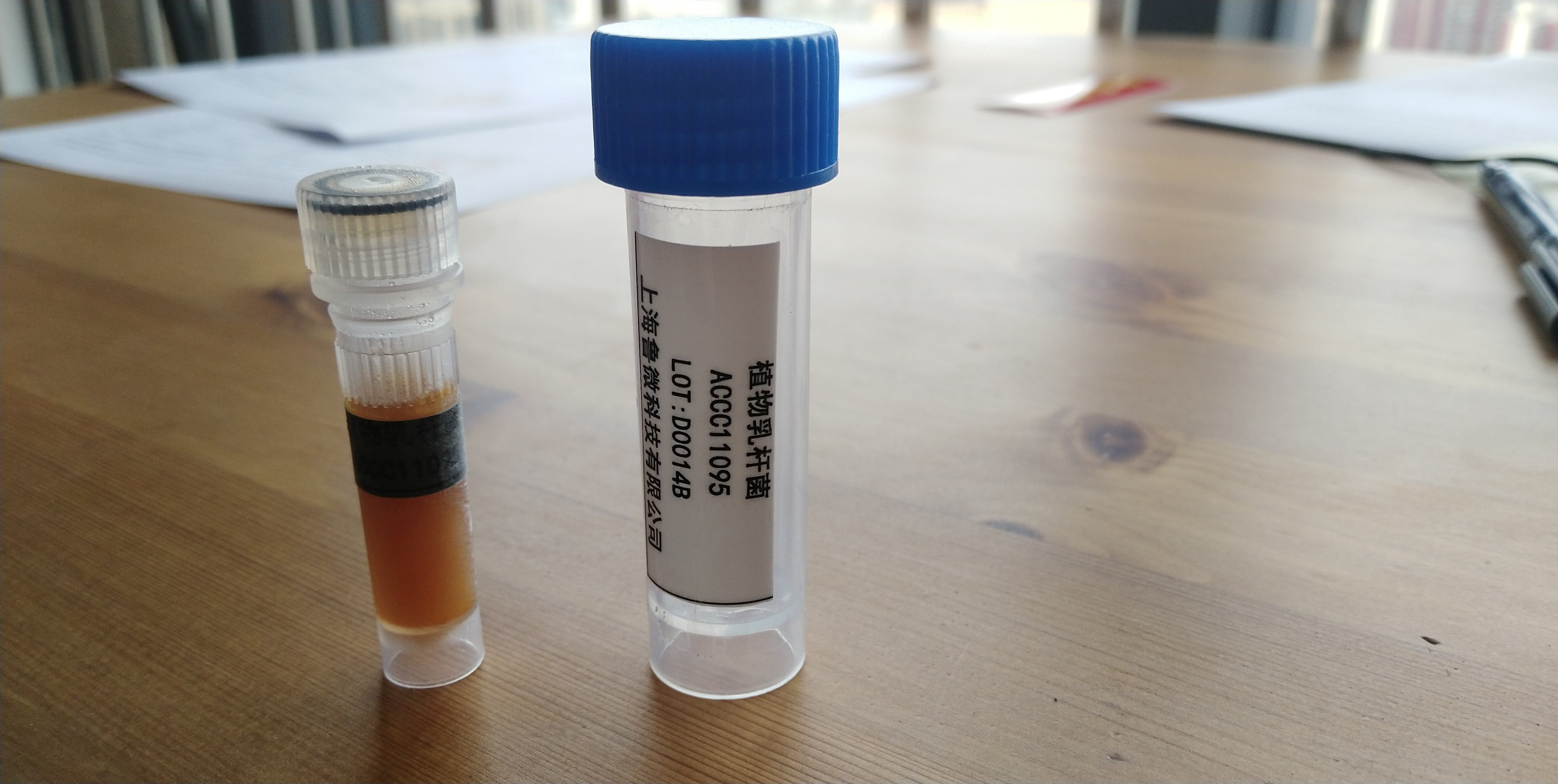 褐球固氮菌CGMCC1.502菌株，教学实验，上海鲁微，2代斜面菌种