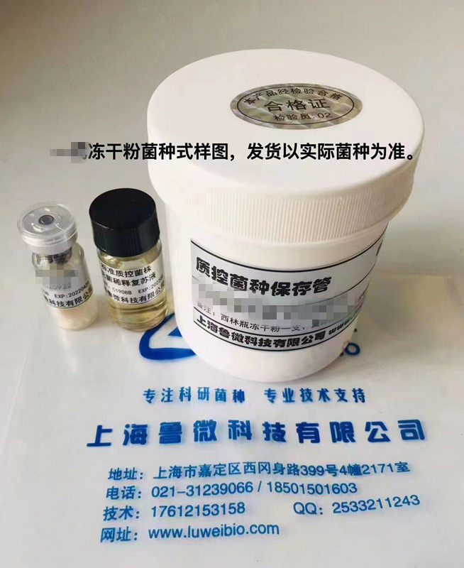 【冻干粉】枯草芽孢杆菌ATCC6633 标准质控菌株，教学实验，鲁微