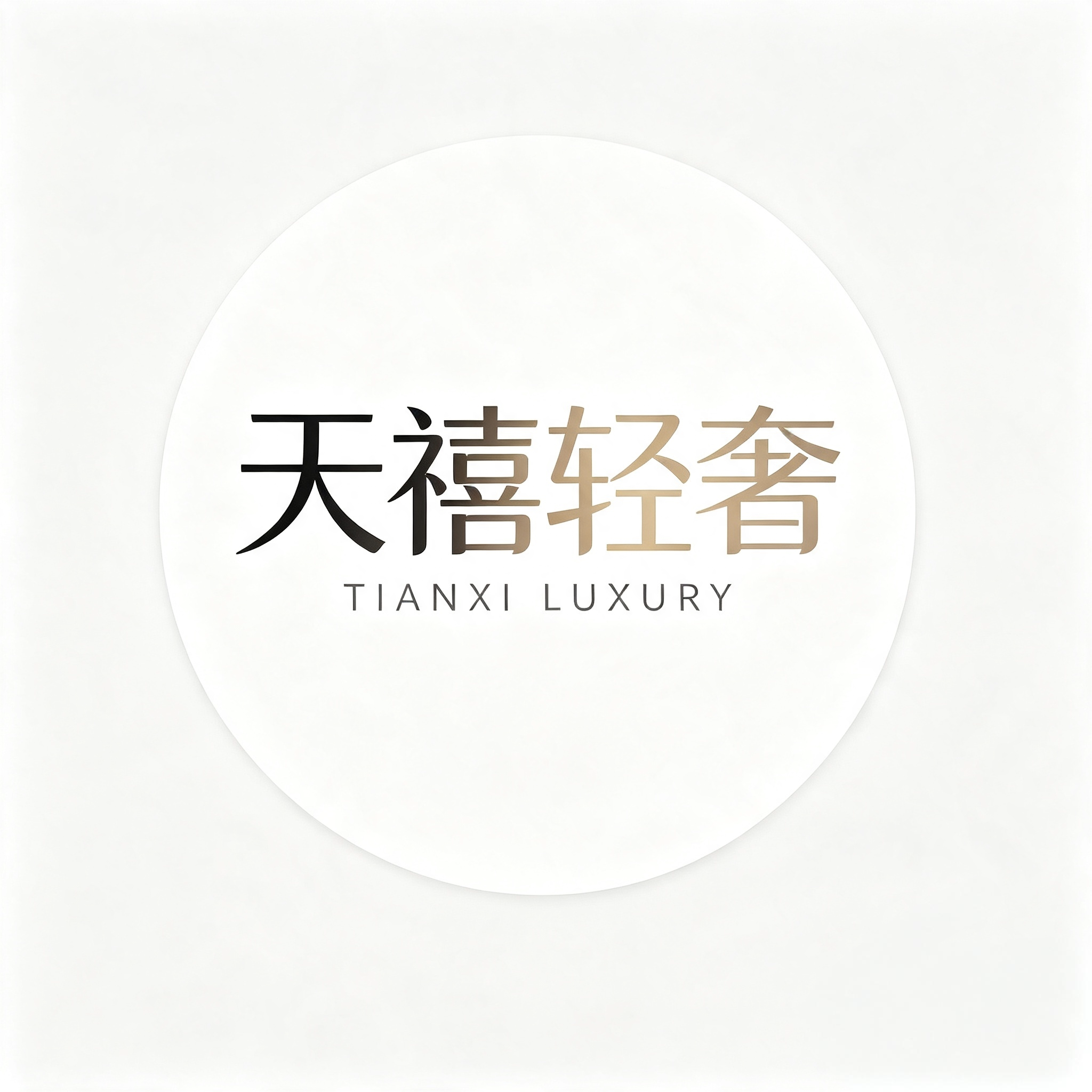 天禧轻奢家具