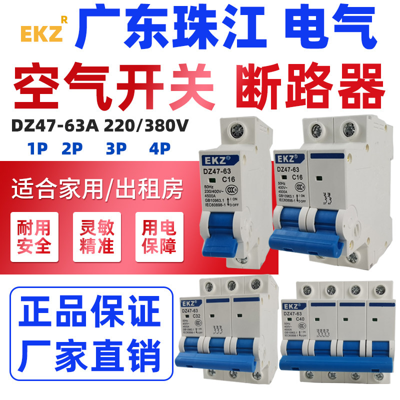 Guangdong Pearl River Air Switch Household DZ47 1P 2P 16A 32A 40A 63A Small Circuit Breaker Switch