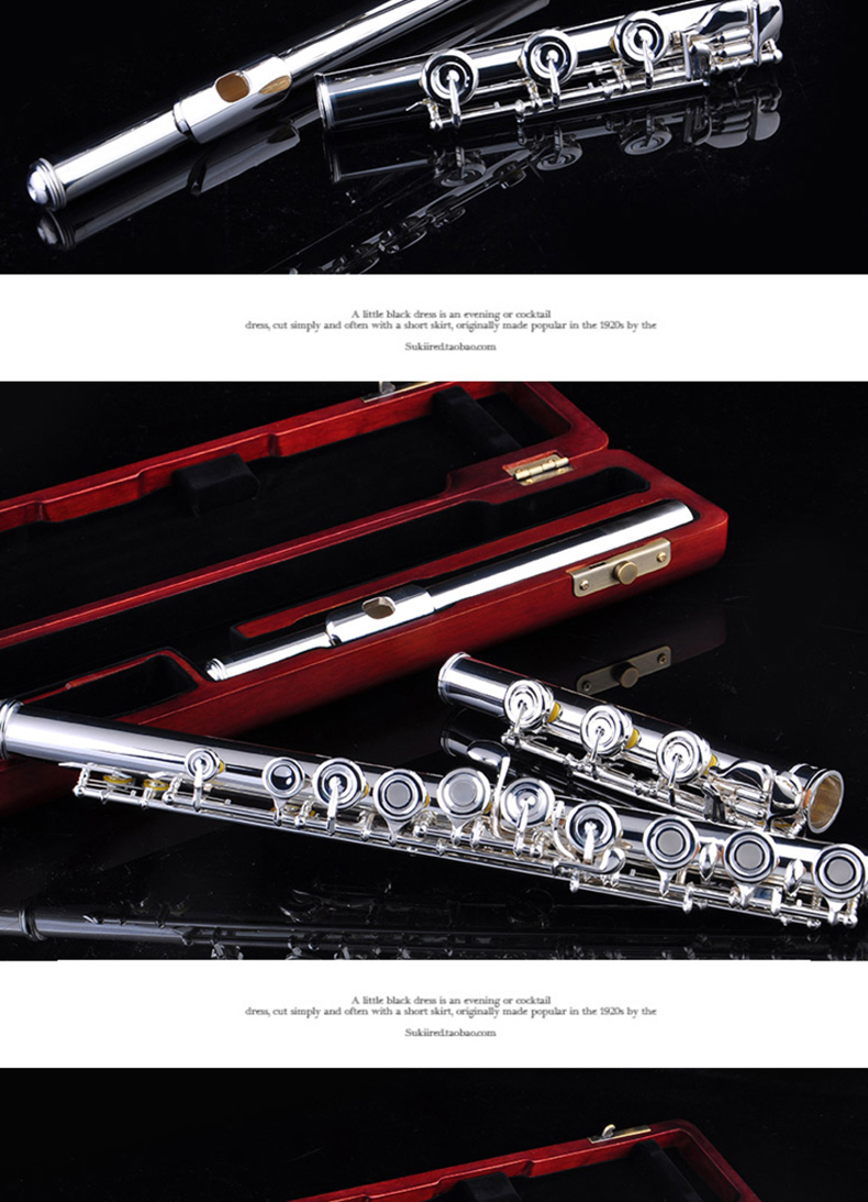 Medway sterling bạc sáo 8003S nhạc cụ sáo chuyên nghiệp chính hãng Pháp nút 17 sáo - Nhạc cụ phương Tây kèn tàu