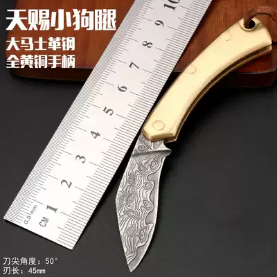 Wild survival Damascus steel knife multifunctional mini knife sharp tool knife portable keychain folding knife