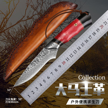 Forged and beaten Damascus Steel knives collection High hardness straight knives sharp outdoor small knives wilderness Wilderness Design Steel small knives