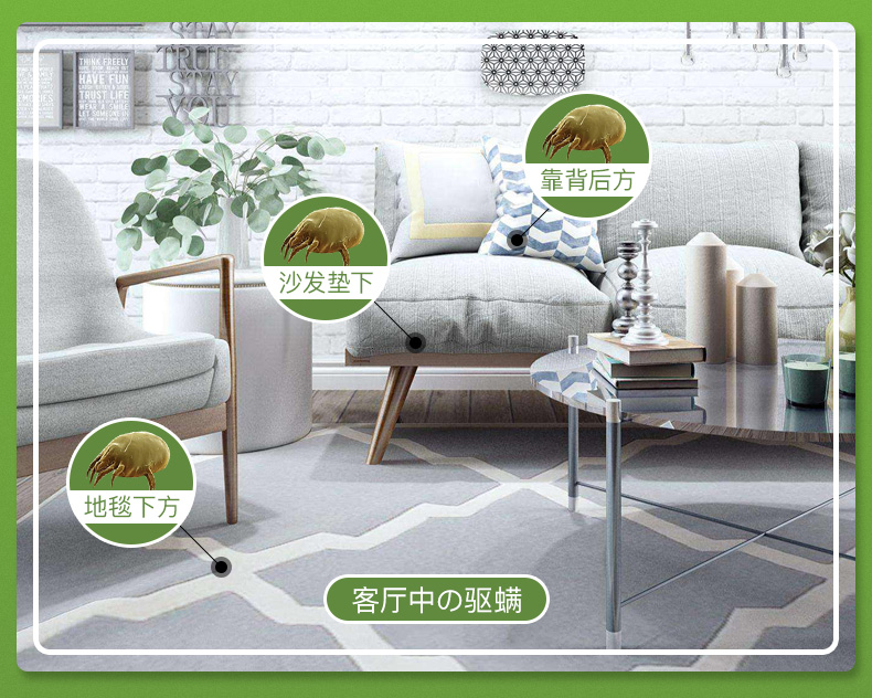 binh xit muoi Nhật Bản ngoài túi mạt dán tự nhiên để cào cào bộ đồ tạo tác ngoài ổ đĩa châu chấu đập vỡ thuốc xịt chống mạt - Thuốc diệt côn trùng xịt côn trùng raid