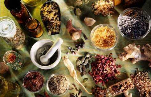 The plants in the store all come together for a combined total of 93 packs 10g packs convenient to buy aromatic materials-Taobao