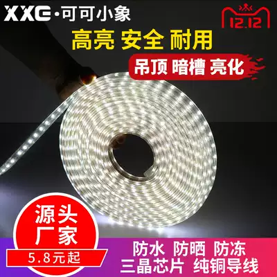 Little elephant LED light belt 5050 waterproof 60D ultra-bright colorful living room soft light belt line light strip 220V patch