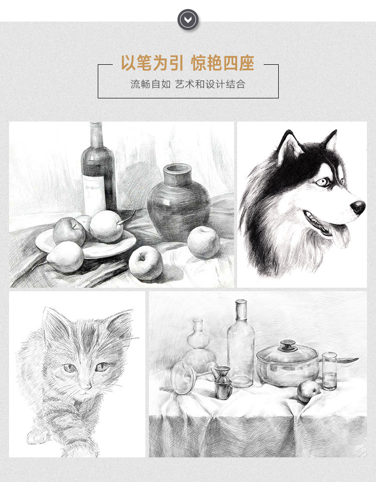 Древесный уголь 尼奥尼素描炭笔美术生专用软中硬性碳笔专业美术速写特软铅笔套装 Nyoni