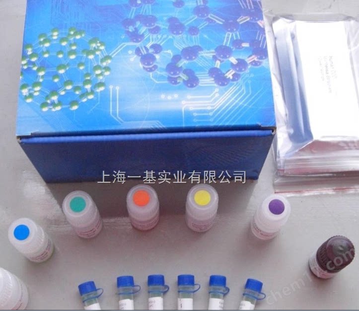 BCA蛋白浓度测定试剂盒 现货包邮
