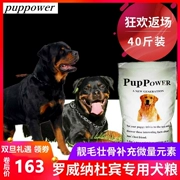 Học sinh được chỉ định Rottweiler Dubin Chó hải quân Na Uy chó trưởng thành thức ăn cho chó đặc biệt 20kg40 kg - Chó Staples