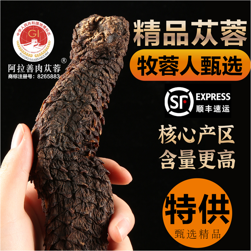 Muruorenren【Premium Selected Cistanche】Authentic Alxa Cistanche Chinese Herbal Medicine Whole Root Mongolian Official Flagship Store