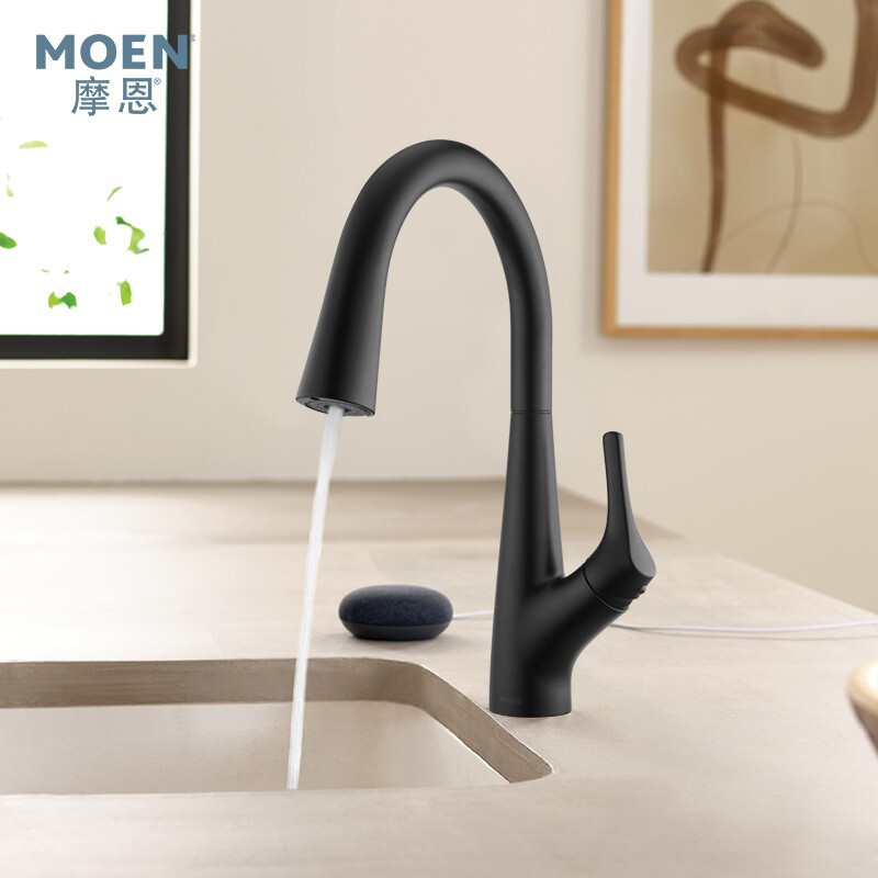 Moen Water Purification Two-In-One Pull-Out Kitchen Faucet Hot and Cold Water Kitchen Faucet 69700 Moen Water Purification Two-In-One Pull-Out Kitchen Faucet Hot and Cold Water Kitchen Faucet 69700