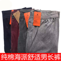 Hailin underwear new warm spring and autumn thin section Haipai comfortable pure cotton underwear mens trousers H009-2-2