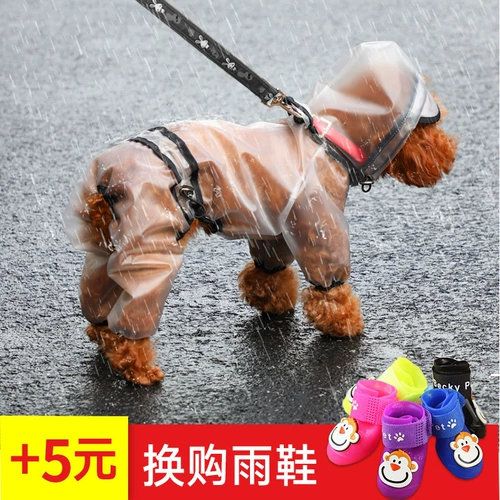 Щенка Пейдди Тедди Баргарда Фа Дугу, Дождь, водонепроницаемый дождь, надеть маленькую собаку с четырьмя одеждой