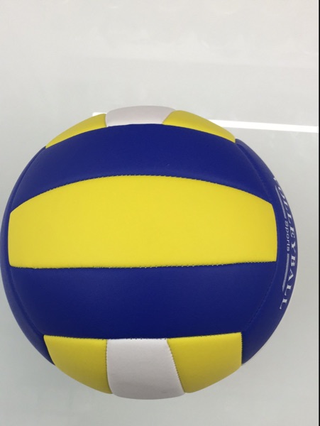 Ballon de volley - Ref 2013783 Image 5