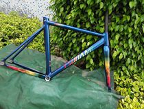 Speed Nano TSUNAMI Dead Flying Chameleon Racing Field Car TSUNAMI Dead Flying Frame Vehicle