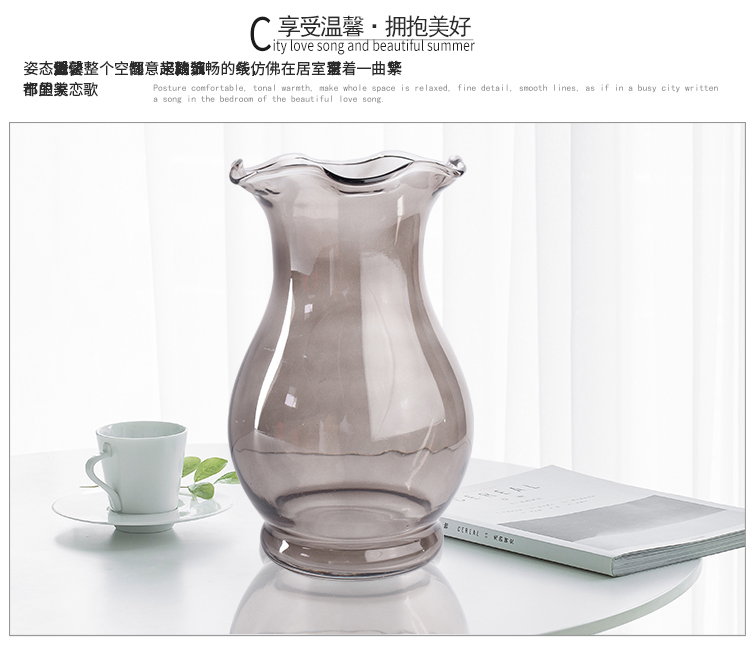 Bình thủy tinh màu xù chai thủy tinh lily hoa cẩm chướng nước văn hóa bình thủy tinh phong phú tre nước văn hóa bình - Vase / Bồn hoa & Kệ chậu đất