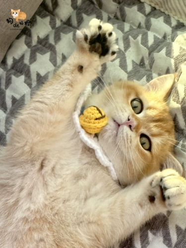 Трикотажный чокер, бесшумный милый колокольчик, шарф ручной работы, кот, домашний питомец, делается под заказ, DIY