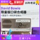 Stylophone David Bowie 大卫鲍伊纪念版便携口袋电子乐器合成器