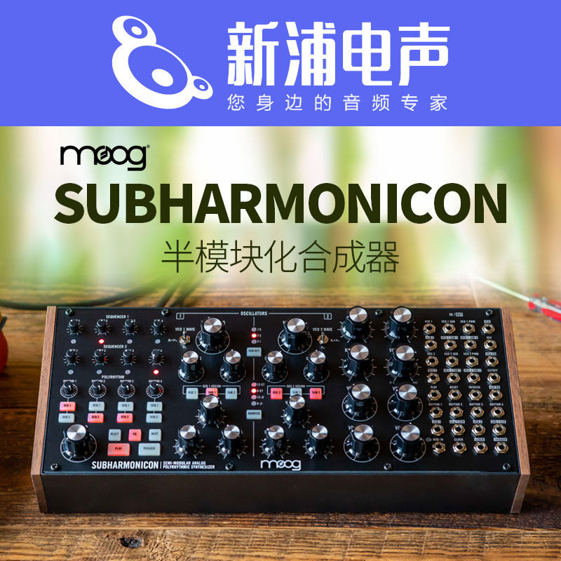 (Shinura Electroacoustic) Moog Subharmonicon polyphonic sequence purely analog semi-modular synthesizer