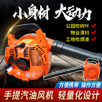 Portable forest fire fighting wind fire extinguisher Gasoline hair dryer High-power construction site road construction snow blower