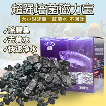 Tuopai magnetic treasure filter material aquarium activated carbon water purification treasure upper filter bottom filter material to remove yellow water to smell