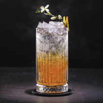  PS520015 Turkey imported Pasha Pachi lead-free glass engraved long drink cocktail glass Colin cup
