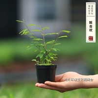 Цзи Хэхуань