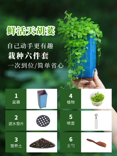 Tianhu 天 горшечная вода и земельный ландшафтный ландшафтный ландшафтный дизайн